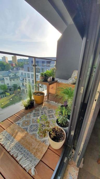 Apartment In City Center Przemysl Bagian luar foto